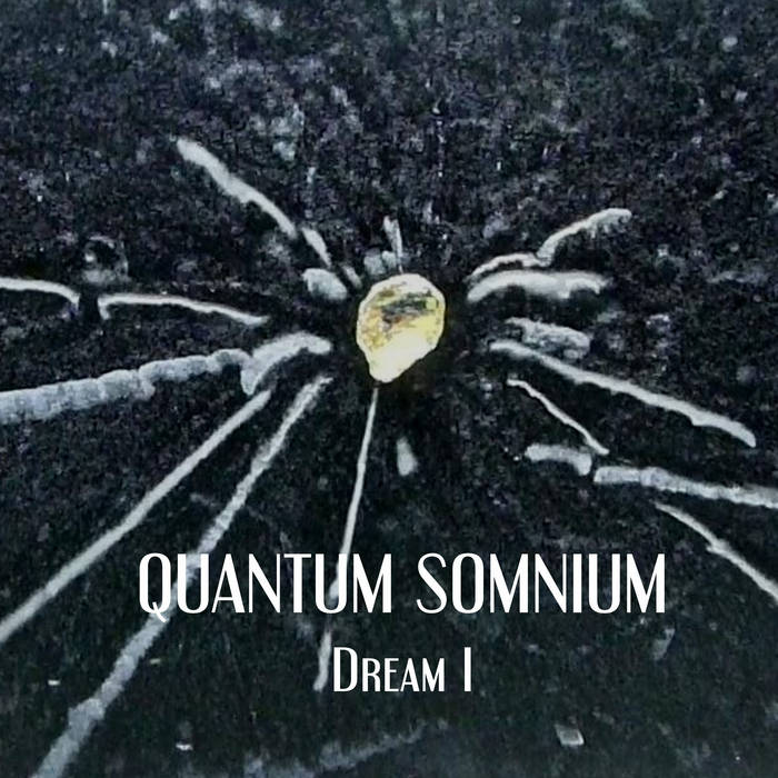 Quantum Somnium